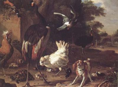 Melchior de Hondecoeter Birds and a Spaniel in a Garden (mk25) Sweden oil painting art
